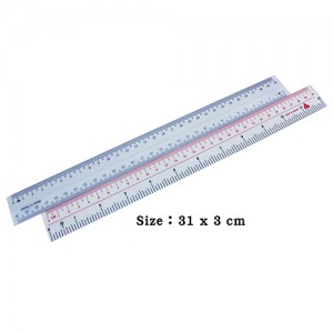 Plastic PVC 30cm Ruler