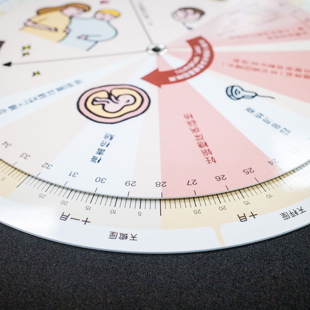 Plastic Pregnancy Calculator Wheel Pregnancy Rotating Disk,Gestation
