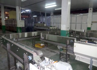(14) Bag Noodle Conveyor