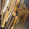 Solución de molienda y trituración de paja (arrozal)