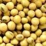 Soybean Milling et molere SOLUTIO 