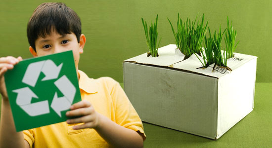 Reciclaje: césped que crece en una caja de cartón