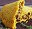 Jamaica Pie Maşın və Avadanlıq |ANKOMaşınlar