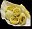 Bánh bao Pelmeni Máy và Thiết bị | 
    ANKO Máy móc