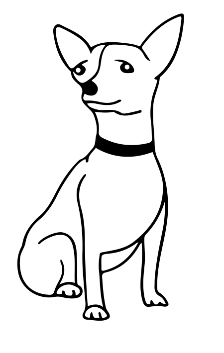 Everyday dogs