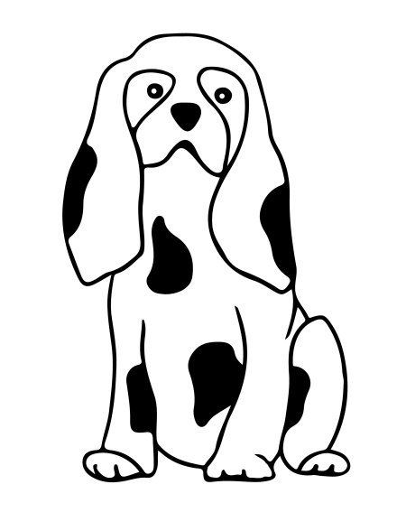 Everyday dogs