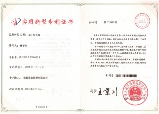 新しい特許 - LED導光板 (中国) 2004 2 0000650.8
