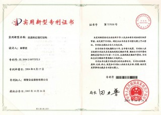 Utility Model Patent-Traffic Light Innovative Structure(China) 2004 2 0077272.3