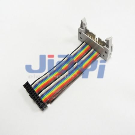 Rainbow Flat Cable Assembly - Rainbow Flat Cable Assembly