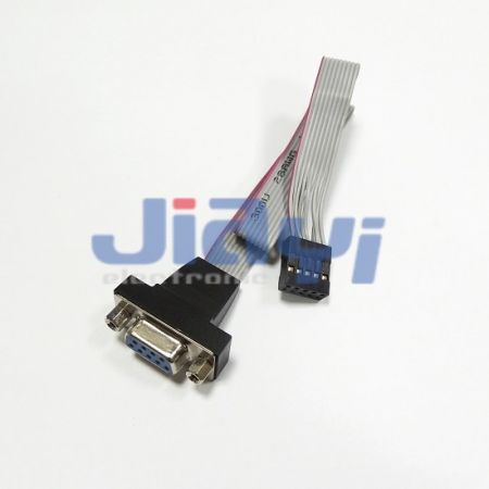 Ribbon Flat Cable Assembly with D-SUB Connector - Ribbon Flat Cable Assembly with D-SUB Connector
