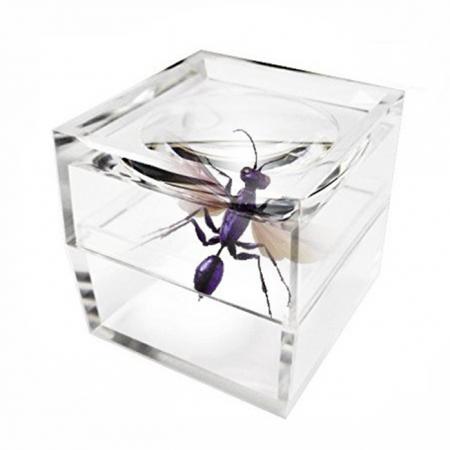 Bug Viewer / Magnifying Cup - Bug viewer for kids