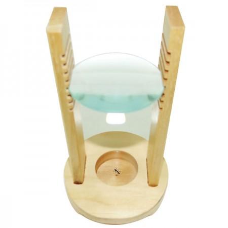 Wooden Educational Bug Insect Specimen Viewer Stand Magnifier