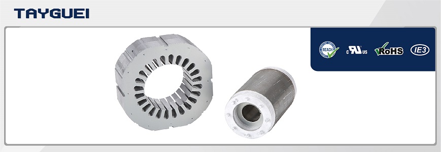 Stator Rotor Lamination For Two Poles Motor Manufacturer Tayguei