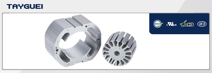 Stator Rotor for Series Motor - Induction Asynchronous Series Motor ...