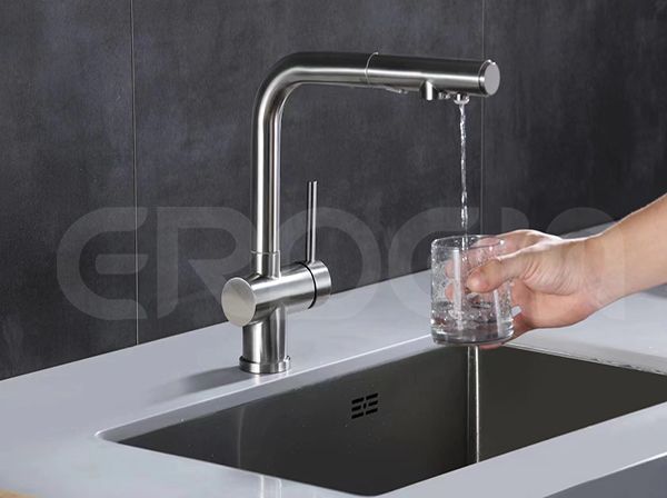 Dual Use Stainless Steel Kitchen Faucet With Ro System Supply Eco