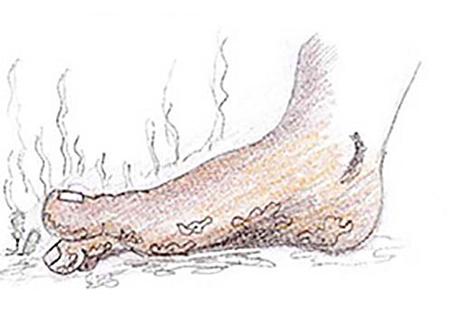 なぜオゾン水は脱臭できるのですか 香港の足臭 体臭 ペット臭が含まれていますか 百昱企業有限公司 なぜオゾン水は脱臭できるのですか 香港の足臭 体臭 ペット臭が含まれていますか 百昱企業有限公司