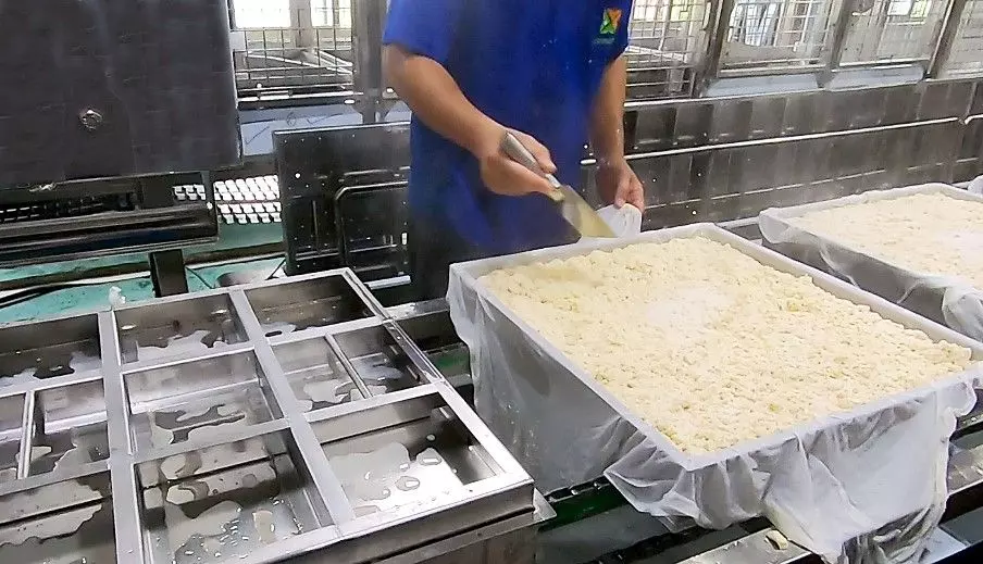 High process capacity for lots of tofu made at once