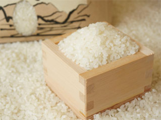 Indonesia Food - Rice