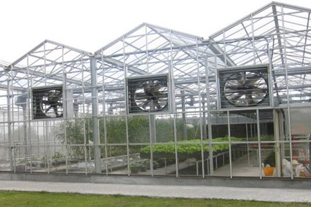 Acrylic Greenhouse