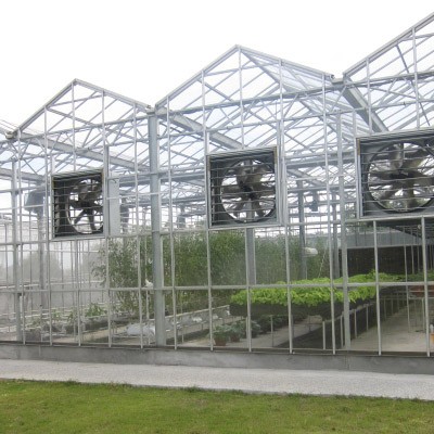 Foglio acrilico colato a effetto serra (6 mm) - Cast Acrylic Sheet Apply on Greenhouse
