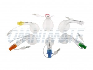 The Tulip Airway - GT Basic - The Tulip Airway - GT Basic (with PRV)