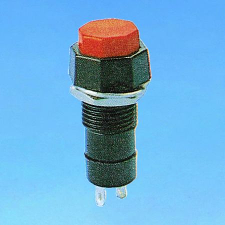 Pushbutton Switches - Pushbutton Switches (R18-24A/R18-24B)