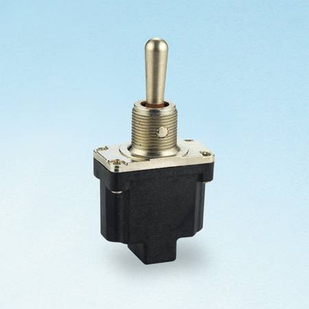 Industrial toggle switch SPDT