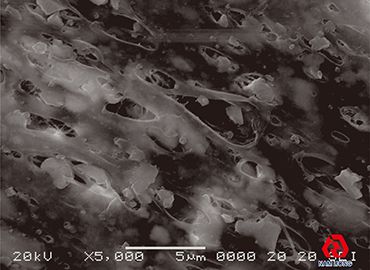 微多孔薄膜 南良國際高分子功能性複合材紡織布料及橡膠衣料製造服務 南良國際股份有限公司 台南分公司
