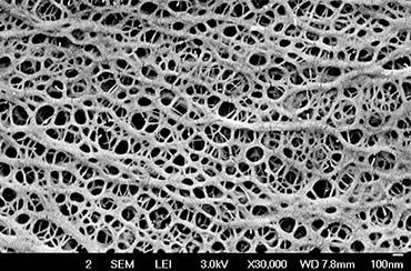 MEMBRANA MICROPOROSA - Membrana Microporosa