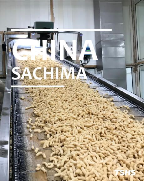 中国 さちま ขนมข าวพอง 連続ファインフィルター 加工機械およびターンキープロジェクト供給 Tshs