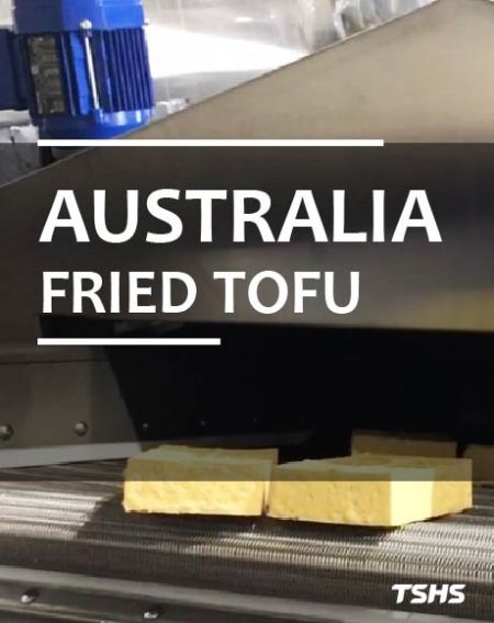 Fried Tofu Machine- Continuous belt Fryer (Australia) - Tofu frit d'Australie