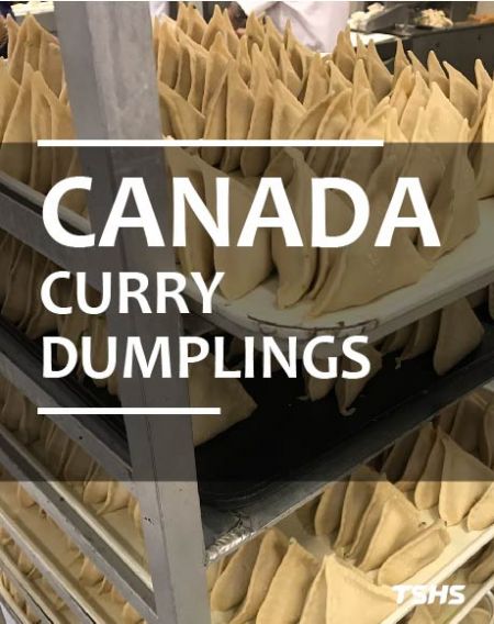 Fried Dumpling Continuous Conveyor Fryer (Canada) - Machine à boulettes frites