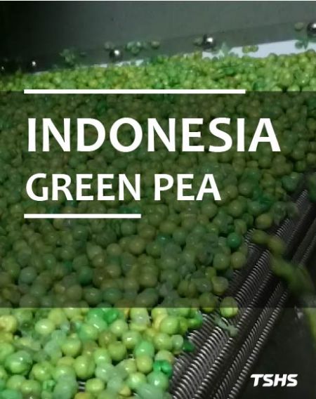 Линия за производство на печен пържен боб (Индонезия) - Пържен боб