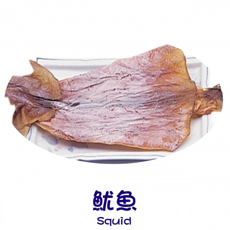 Finish Products – Squid