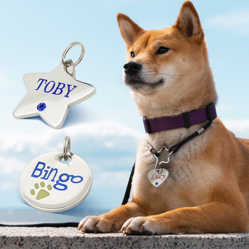 Rfy9u7 regalo para dueño de mascotas acero inoxidable hueso pequeñas etiquetas personalizadas para perros y gatos diseño de bandera italiana Etiquetas de identificación para mascotas 