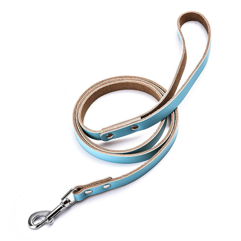 thick leather dog leash