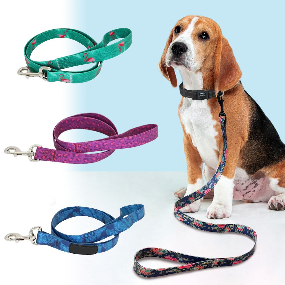 防水犬リード ようこそ ペット用品 亮金金礼品貿易有限会社 防水犬リード ようこそ ペット用品 亮金金礼品貿易有限会社