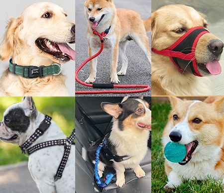 2021 Pet Supplies Wholesale Collars Ins Hot Sale Dog Harness Dog Clothes Pet  Toy - China Dog Collar and Pet Products price