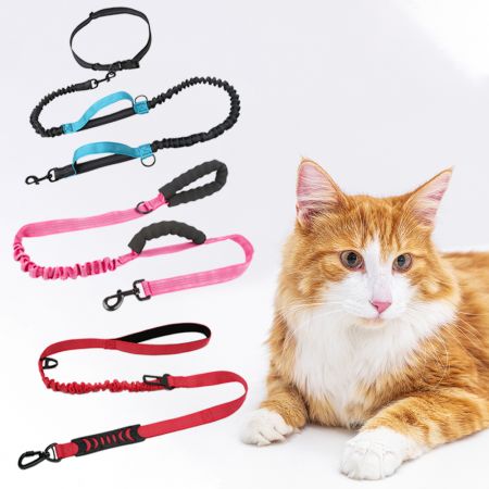 Wholesale Cat Bungee Leash - Wholesale Cat Bungee Leash with Padded Handle