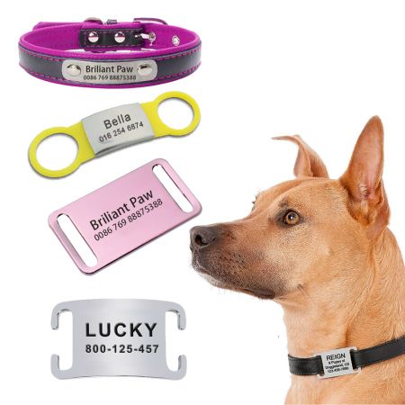 Pattern Dog Collar Nameplate - Pattern Rivet On Dog Tag