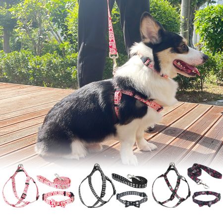Wholesale 3-Piece Walking Dog Harness Set
