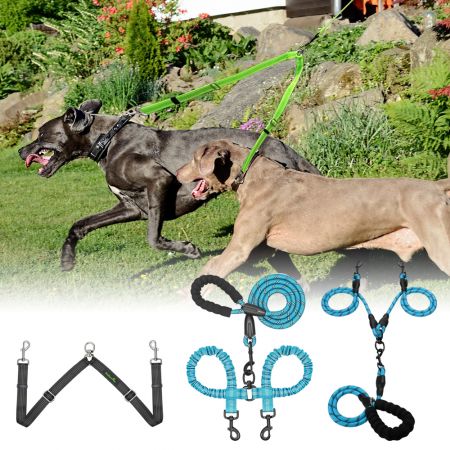 犬リード 多様化なカスタムメイドの総合ペット用品を提供する専門業者です 亮金金礼品貿易有限会社 犬リード 多様化なカスタムメイドの総合ペット用品を提供する専門業者です 亮金金礼品貿易有限会社
