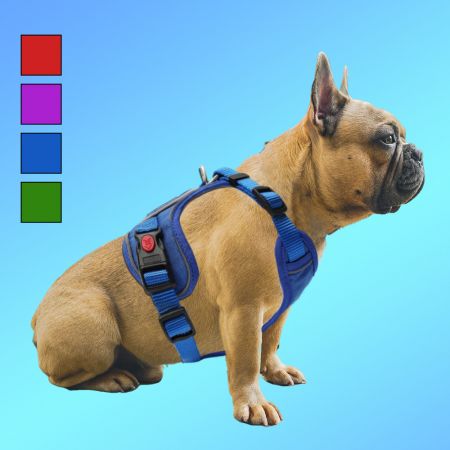 Easy On Escape Proof Dog Harness.