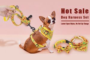 Various Combinations of Dog Harness Set to Rich Your Category