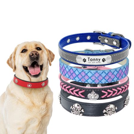 Pattern Leather Dog Collar - Leather Dog Collar with Skull Rivet