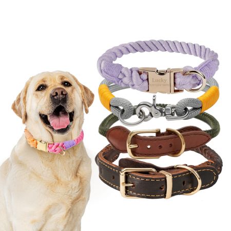 Wholesale Rope Dog Collar