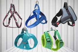 Choose A Proper Dog Harness To Lead Or Walk Your Dog Better
