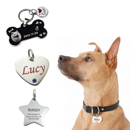 Pattern Stainless Steel Pet Id Tags