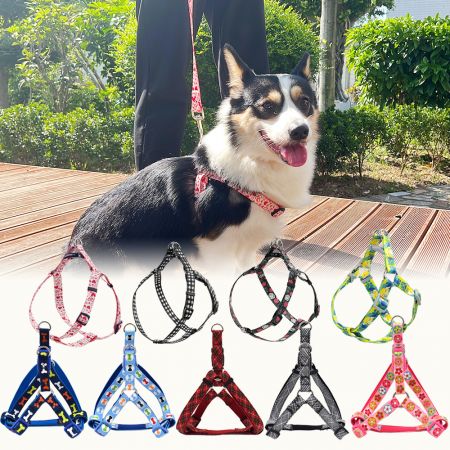 Pattern Step In Dog Harness - Soft Webbing Step In Dog Harness