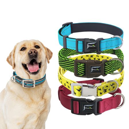 Wholesale Nylon Dog Collar - Wholesale Two-Layer Nylon Dog Collar